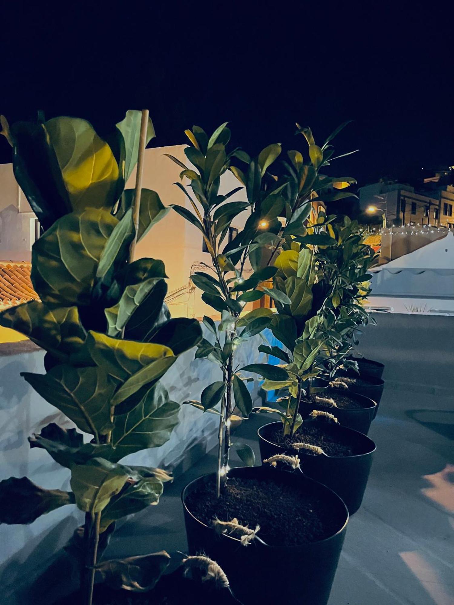 Plaza De La Fuente Granadilla De Abona Tenerife Sur Only Adults Con Terraza Privada Eksteriør billede